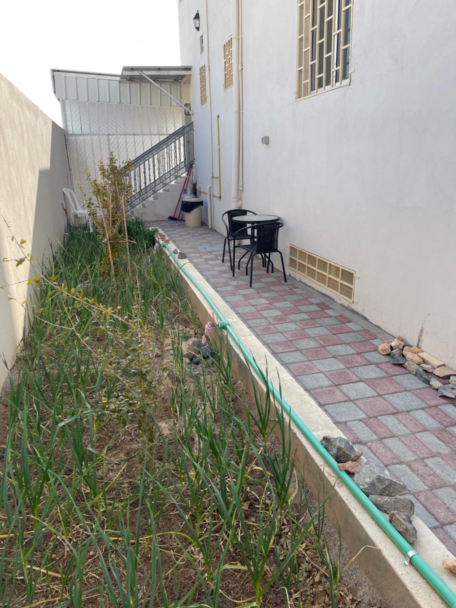 Apartment In Bayt Al Jabal شقة في بيت الجبل Sayq ภายนอก รูปภาพ